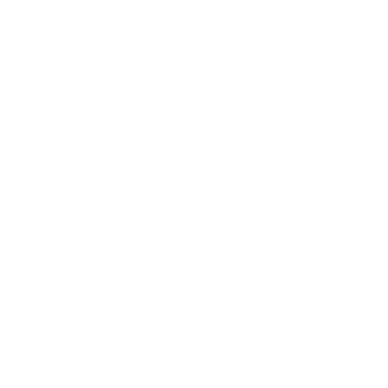 hifly logo